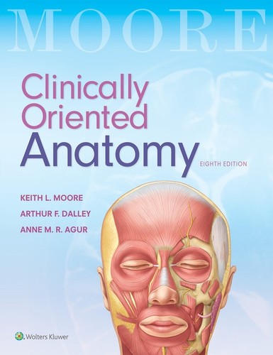 Clinically oriented anatomy - clinically,